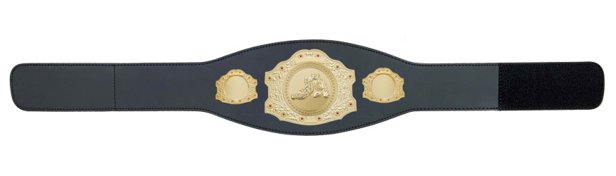 GOLD CHAMPIONSHIP BELT - XXLMIDI/G/JIUJITSU/G - AVAILABLE IN 4 LEATHER COLOURS GOLD CHAMPIONSHIP BELT - XXLMIDI/G/JIUJITSU/G - AVAILABLE IN 4 LEATHER COLOURS